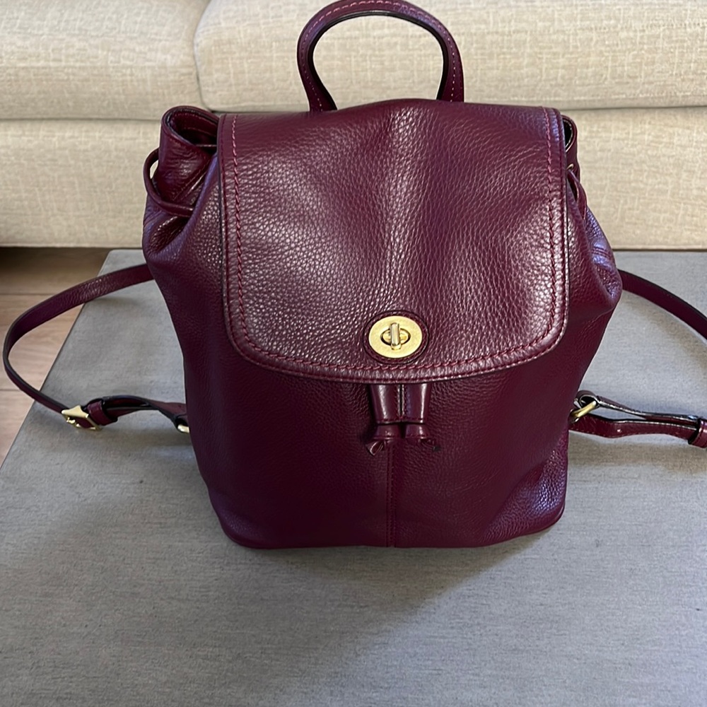 Coach Leather Backpack